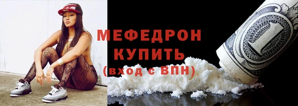 трава Ельня