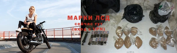 крисы Елабуга