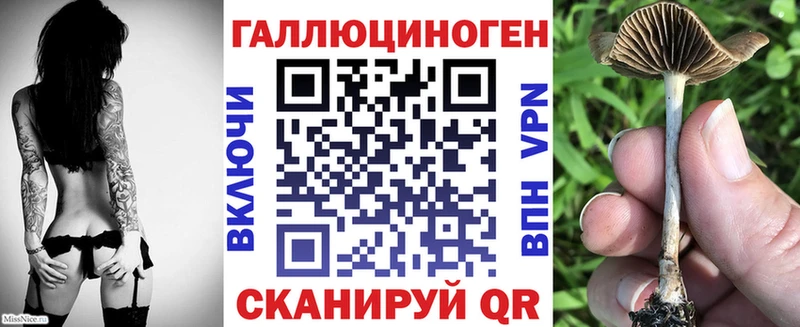 Галлюциногенные грибы мицелий  Королёв 