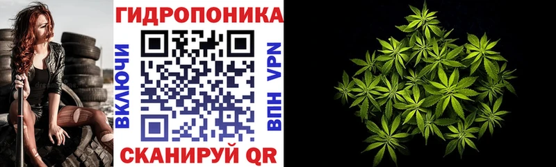 ссылка на мегу   Королёв  Конопля OG Kush 
